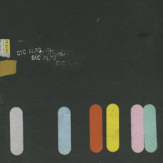 Sic Alps Napa Asylum