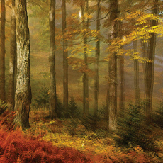 People Of The North Deep Tissue