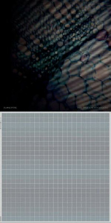 Duane Pitre / PITRELEH Feel Free: Live At Cafe OTO / PITRELEH