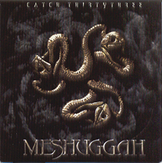 MESHUGGAH Catch 33