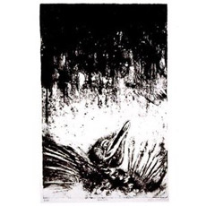 ASVA Presences Of Absences