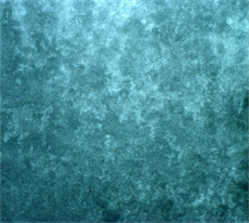 TUNDRA Anekumena
