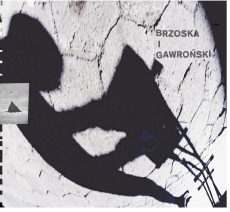 Brzoska i Gawroński  Nunatak