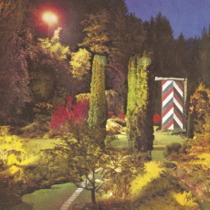 SIC ALPS Battery Townsley