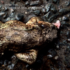 Indigo Tree Lullabies Of Love And Death