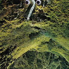 ECSTATIC SUNSHINE Way