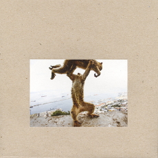 Shellac Dude Incredible