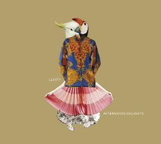 Levity Afternoon Delights