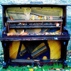 BRACKEN We Know About the Need