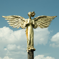 Wilhelm Bras Visionaries & Vagabonds