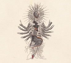 WE WILL FAIL Verstörung