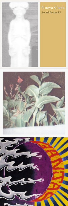 Nueva Costa / The Ganjas Ave del Paraíso EP - Gran Espiritu / After Dark