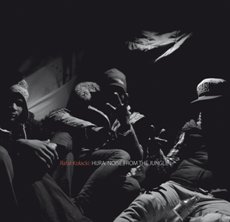 Rafał Kołacki Hijra. Noise From The Jungle