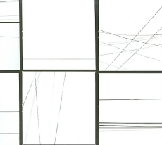 Tortoise Beacons of Ancestorship