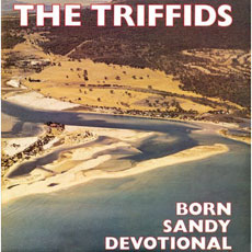THE TRIFFIDS Born Sandy Devotional