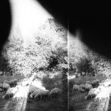 Godspeed You! Black Emperor  Asunder, Sweet and Distress