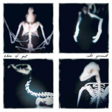 ECHOES OF YUL Cold Ground