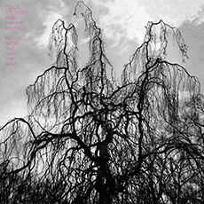 Colin Stetson & Sarah Neufeld  Never Were The Way She Was