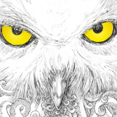 NIEMATOTAMTO Żółć