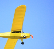 New Cage Wszystko jutro